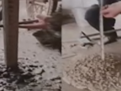 信迪质量把控要点
